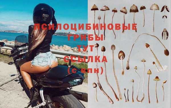 кокс Баксан