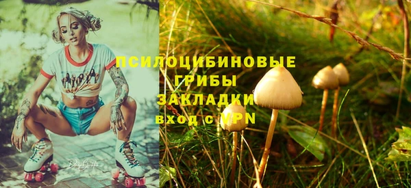 кокс Баксан