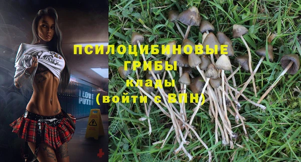 кокс Баксан