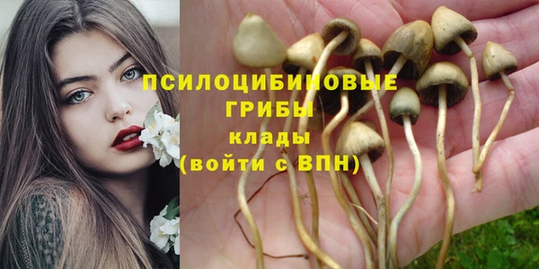 спайс Вязники