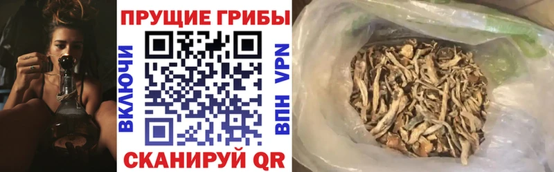 даркнет сайт  Новый Оскол  Псилоцибиновые грибы прущие грибы 